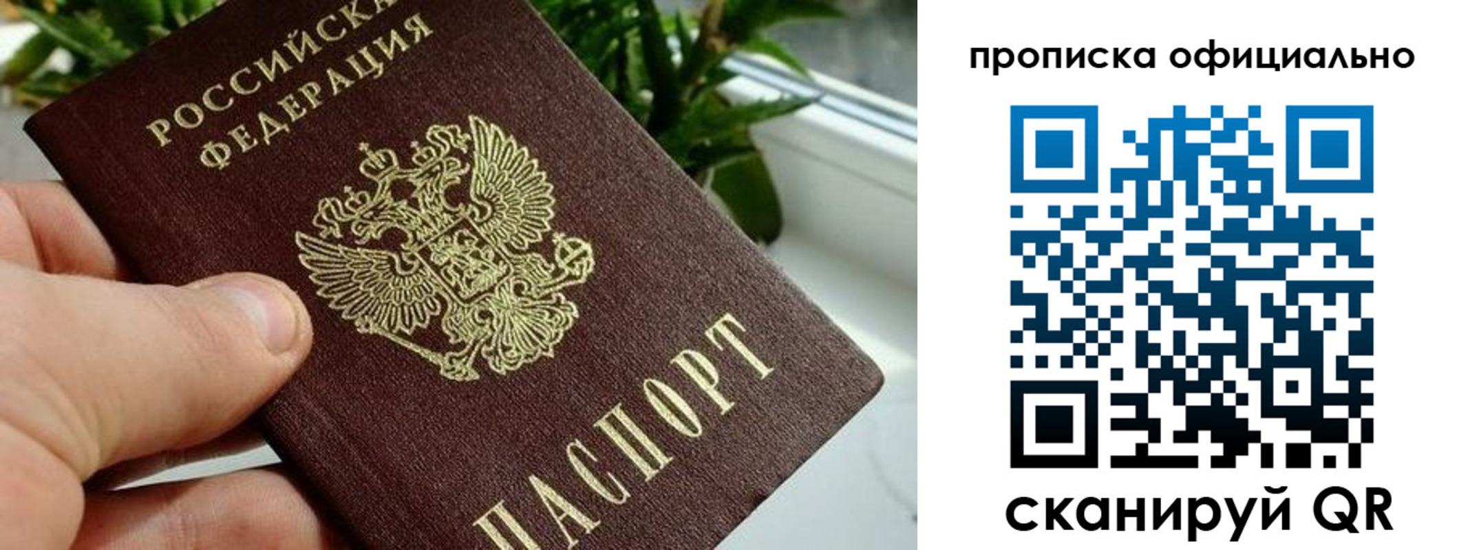 прописка поиск в Курчатове